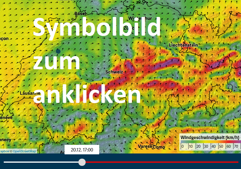 windprognose bielersee & schweizer seen (c) www.meteotest.ch